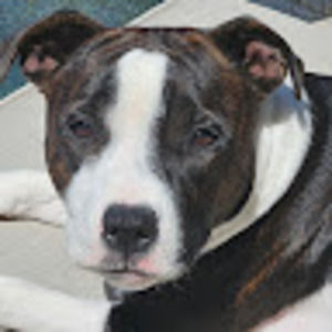 Meet your Posher, Maura